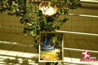 6ª Mostra Fotográfica: Olhares
