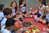 Piquenique de Alimentação Saudável com os alunos dos 2ºs ANOS matutino e vespertino