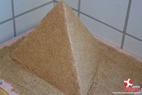 Exposição sobre o Egito com os alunos do 6º ANO 