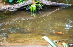 Saída Pedagógica para Foz do Iguaçu com o Ensino Médio