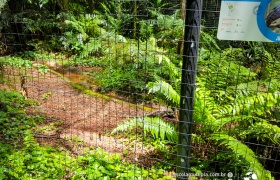 Saída Pedagógica para Foz do Iguaçu com o Ensino Médio