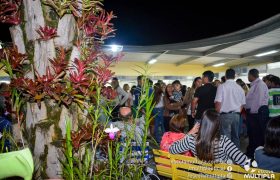 Mostra de Ciências 2017