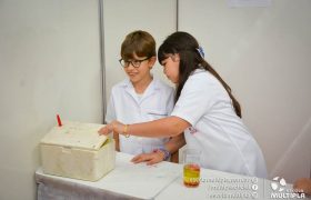 Mostra de Ciências 2017