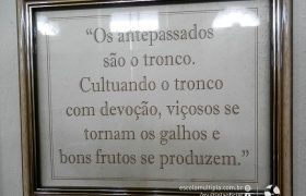 Saída Pedagógica com os alunos dos 6º ANOS