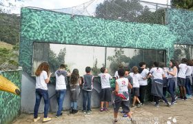 Saída Pedagógica com os alunos dos 6º ANOS