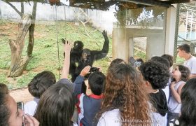 Saída Pedagógica com os alunos dos 6º ANOS