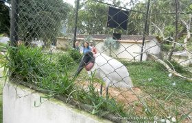 Saída Pedagógica com os alunos dos 6º ANOS