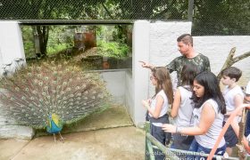 Saída Pedagógica com os alunos dos 6º ANOS