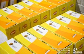 Bilingual Program material's hand out. 