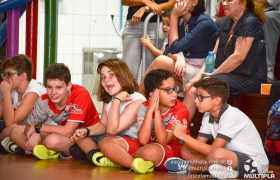 Bilingual Program material's hand out. 