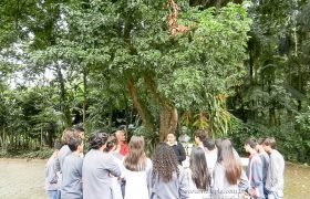 Saída Pedagógica com os 8ºs ANOS