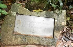 Saída Pedagógica com os 8ºs ANOS