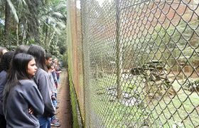 Saída Pedagógica com os 8ºs ANOS