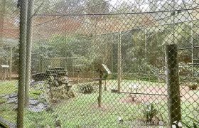 Saída Pedagógica com os 8ºs ANOS