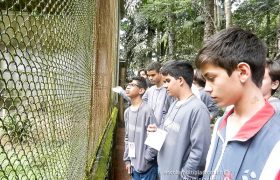 Saída Pedagógica com os 8ºs ANOS