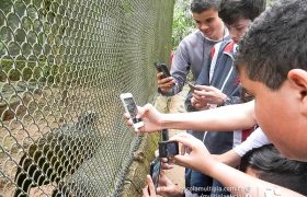 Saída Pedagógica com os 8ºs ANOS