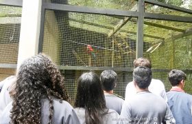 Saída Pedagógica com os 8ºs ANOS