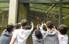 Saída Pedagógica com os 8ºs ANOS