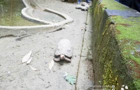 Saída Pedagógica com os 8ºs ANOS