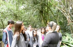 Saída Pedagógica com os 8ºs ANOS