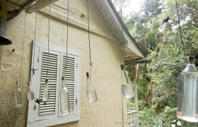 Saída Pedagógica com os 8ºs ANOS