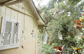 Saída Pedagógica com os 8ºs ANOS