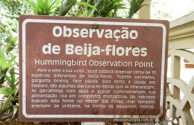 Saída Pedagógica com os 8ºs ANOS