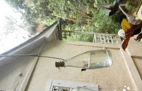 Saída Pedagógica com os 8ºs ANOS