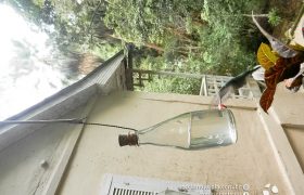 Saída Pedagógica com os 8ºs ANOS