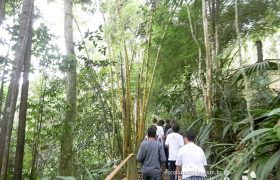 Saída Pedagógica com os 8ºs ANOS