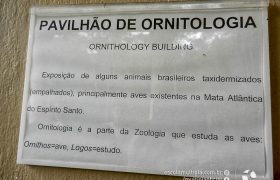 Saída Pedagógica com os 8ºs ANOS