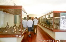 Saída Pedagógica com os 8ºs ANOS