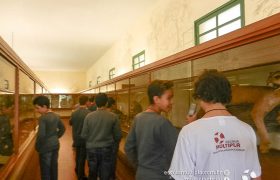 Saída Pedagógica com os 8ºs ANOS