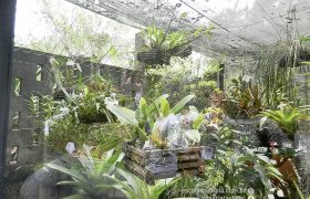 Saída Pedagógica com os 8ºs ANOS