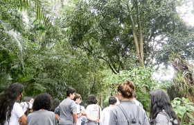 Saída Pedagógica com os 8ºs ANOS