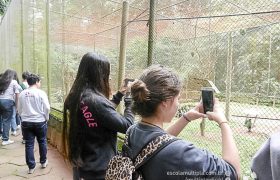 Saída Pedagógica com os 8ºs ANOS