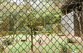 Saída Pedagógica com os 8ºs ANOS