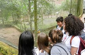 Saída Pedagógica com os 8ºs ANOS