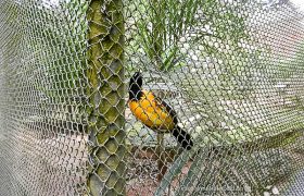 Saída Pedagógica com os 8ºs ANOS