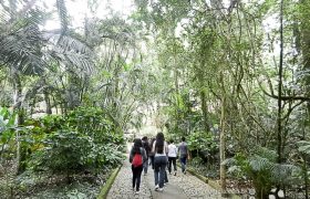 Saída Pedagógica com os 8ºs ANOS