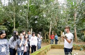 Saída Pedagógica com os 8ºs ANOS