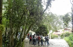 Saída Pedagógica com os 8ºs ANOS