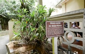 Saída Pedagógica com os 8ºs ANOS