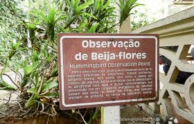 Saída Pedagógica com os 8ºs ANOS