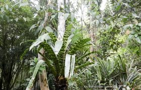 Saída Pedagógica com os 8ºs ANOS