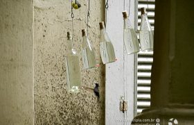 Saída Pedagógica com os 8ºs ANOS