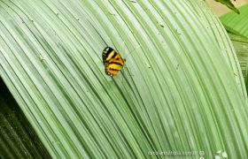 Saída Pedagógica com os 8ºs ANOS