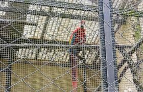 Saída Pedagógica com os 8ºs ANOS