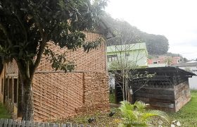 Saída Pedagógica com os 8ºs ANOS