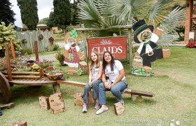 Saída Pedagógica com os 8ºs ANOS